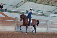 068 Hunter Pleasure Limit Rider