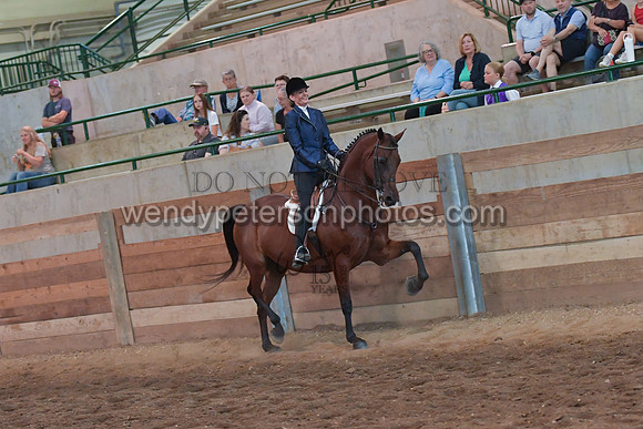 068_3013-Do_not_copy_PROOF