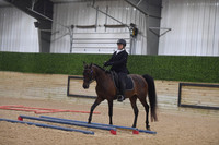 Trail English Under Saddle R14