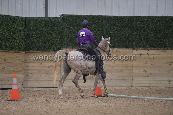 125_5068-Do_not_copy_PROOF