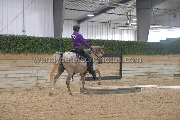 125_5096-Do_not_copy_PROOF
