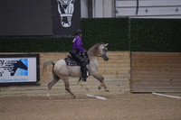Trail Western Under Saddle R14