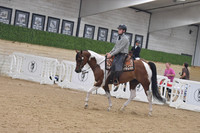 651  Western Dressage Hack Open