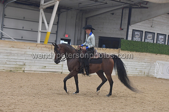 651_9590-Do_not_copy_PROOF