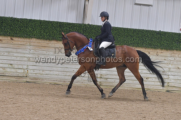 650_9585-Do_not_copy_PROOF