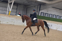 650 SHUS Junior Horse