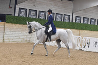 649 Arabian Sport Horse Show Hack ATR