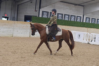 647 Western Dressage Suitability Open