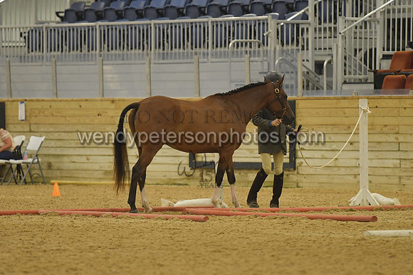 416_6756