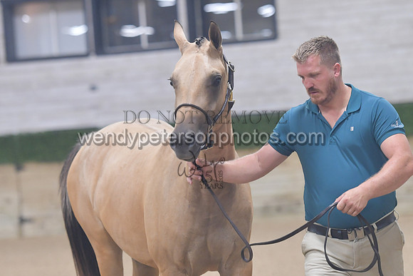 untitled shoot-7843-Do_not_copy_PROOF