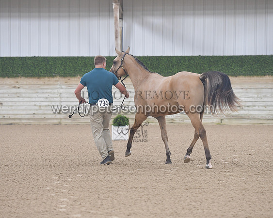 untitled shoot-7845-Do_not_copy_PROOF