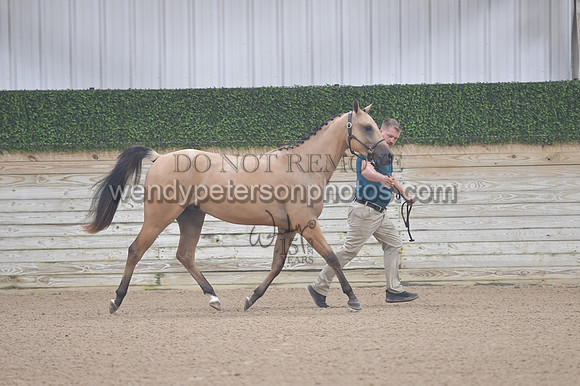 untitled shoot-7846-Do_not_copy_PROOF