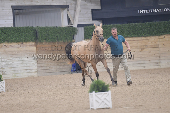 untitled shoot-7850-Do_not_copy_PROOF