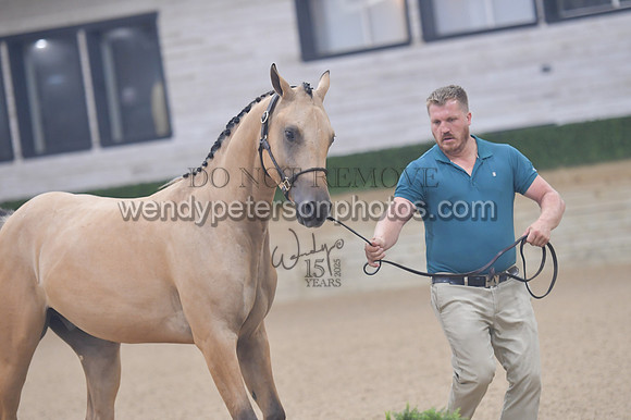 untitled shoot-7853-Do_not_copy_PROOF