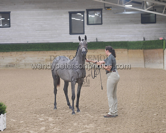 untitled shoot-7863-Do_not_copy_PROOF