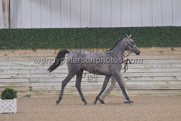 untitled shoot-7868-Do_not_copy_PROOF