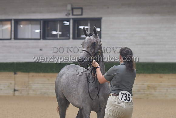 untitled shoot-7879-Do_not_copy_PROOF