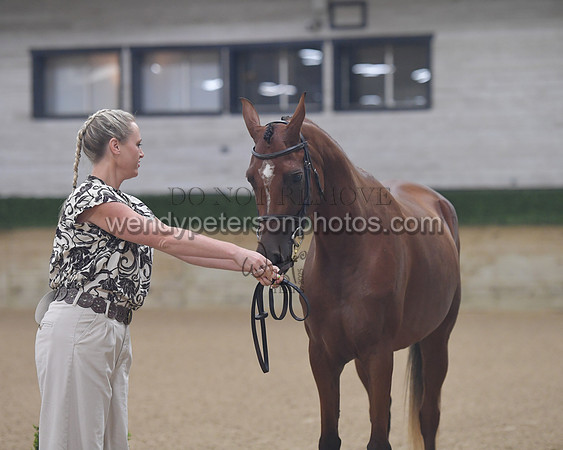 untitled shoot-7886-Do_not_copy_PROOF