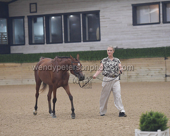 untitled shoot-7889-Do_not_copy_PROOF