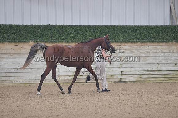 untitled shoot-7896-Do_not_copy_PROOF