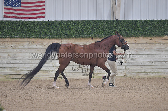 untitled shoot-7913-Do_not_copy_PROOF