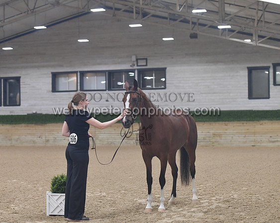 untitled shoot-7946-Do_not_copy_PROOF