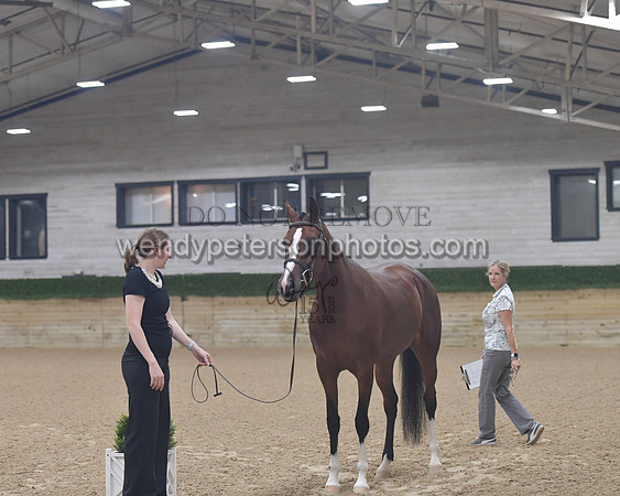 untitled shoot-7947-Do_not_copy_PROOF
