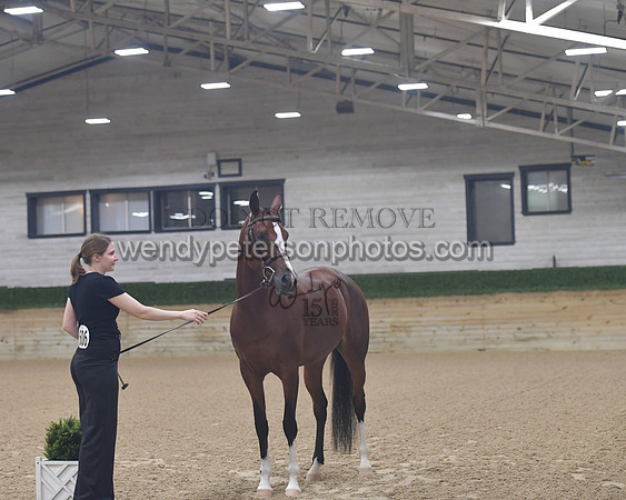 untitled shoot-7950-Do_not_copy_PROOF