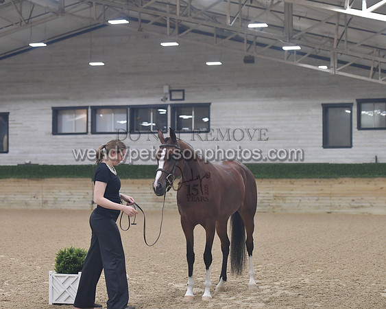 untitled shoot-7951-Do_not_copy_PROOF