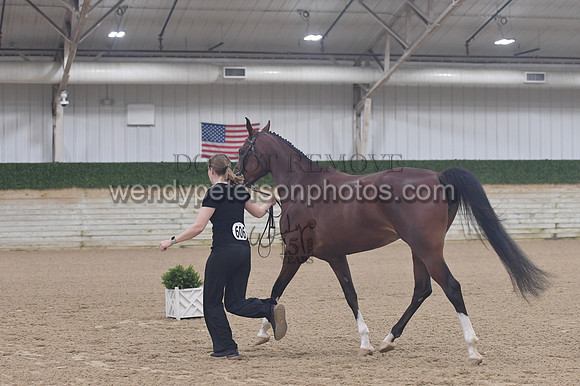 untitled shoot-7954-Do_not_copy_PROOF
