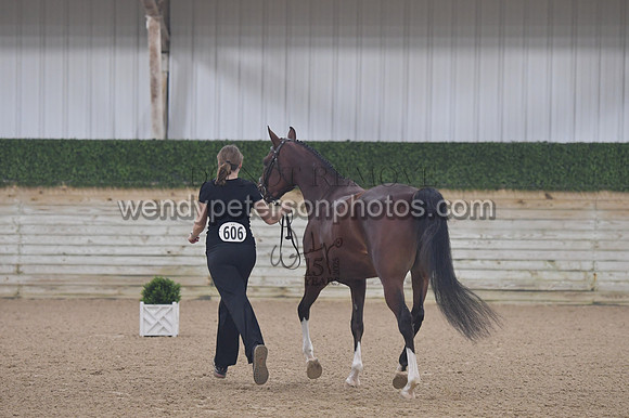 untitled shoot-7957-Do_not_copy_PROOF