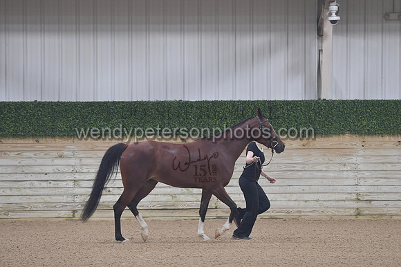 untitled shoot-7959-Do_not_copy_PROOF