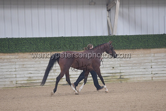 untitled shoot-7961-Do_not_copy_PROOF