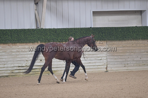 untitled shoot-7962-Do_not_copy_PROOF