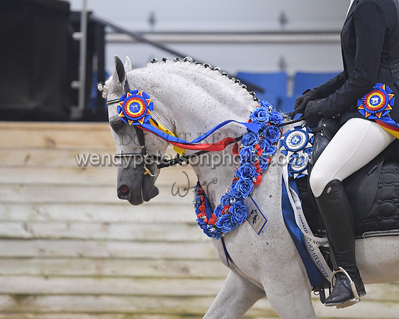 102_7695-Do_not_copy_PROOF
