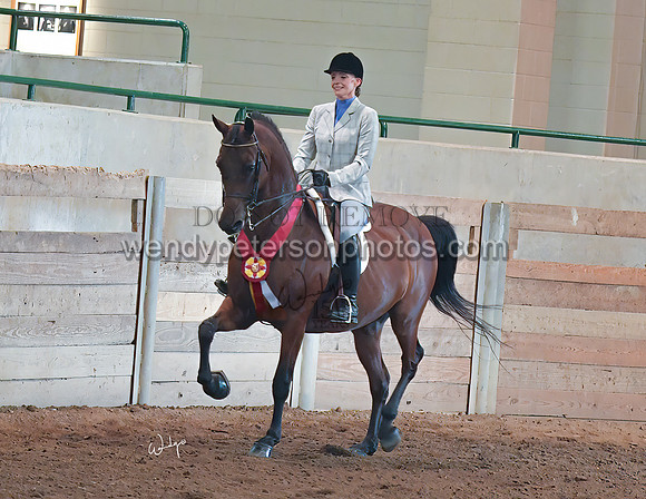 111_4569-Edit-EditHighRes300dpi_PRINTto20%22