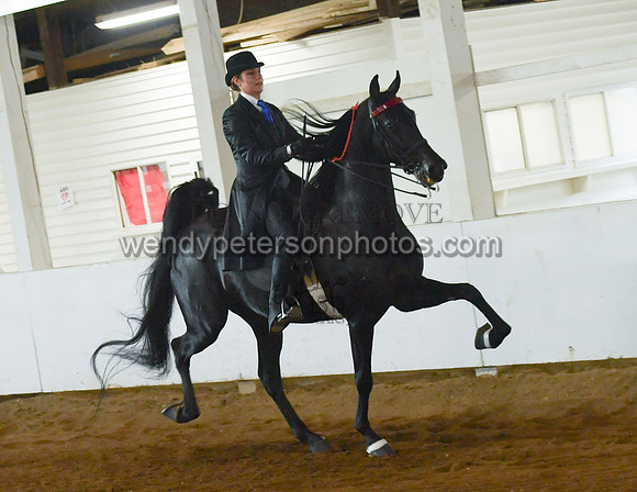 120_2660-Do_not_copy_PROOF