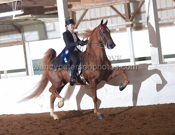 035_2134-Do_not_copy_PROOF
