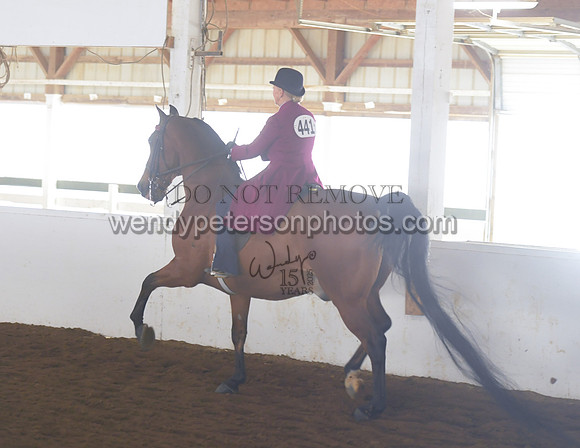 008_1710-Do_not_copy_PROOF