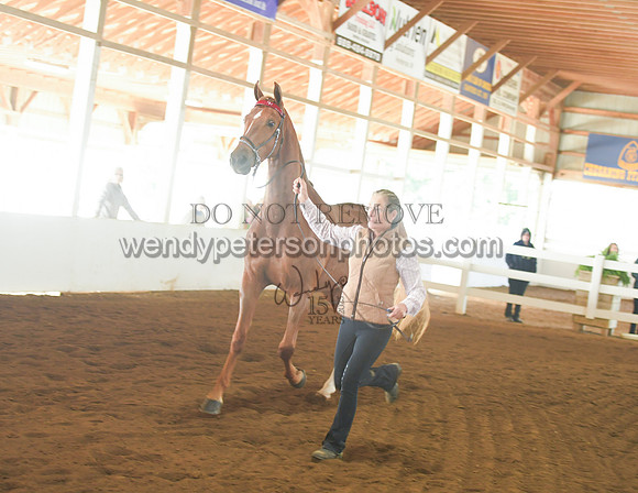 075_2240-Do_not_copy_PROOF