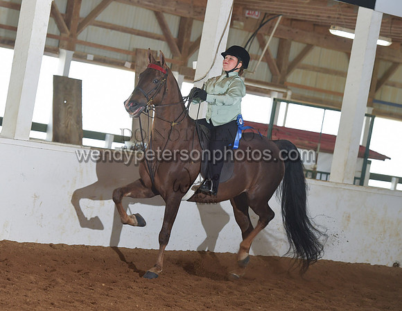 098_2615-Do_not_copy_PROOF