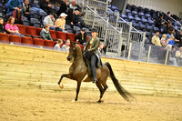 109 PB English Pleasure JTR