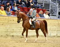 128 Hunter Pleasure Walk/Trot 10 & Under