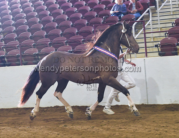 2026BPANA10-7408-Do_not_copy_PROOF