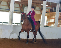 054 Morgan Classic Pleasure Open Stake