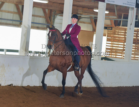054_2336-Do_not_copy_PROOF