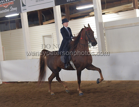 010_1813-Do_not_copy_PROOF