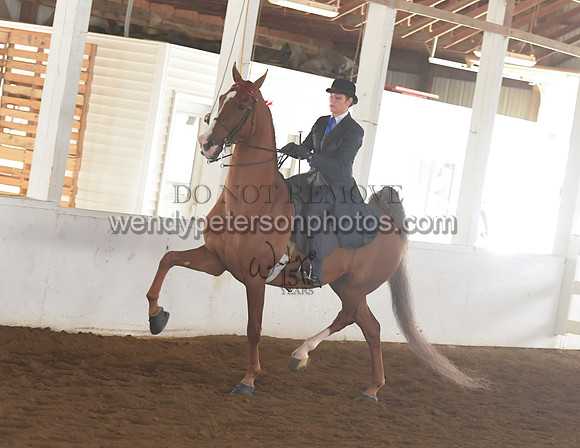 013_1835-Do_not_copy_PROOF