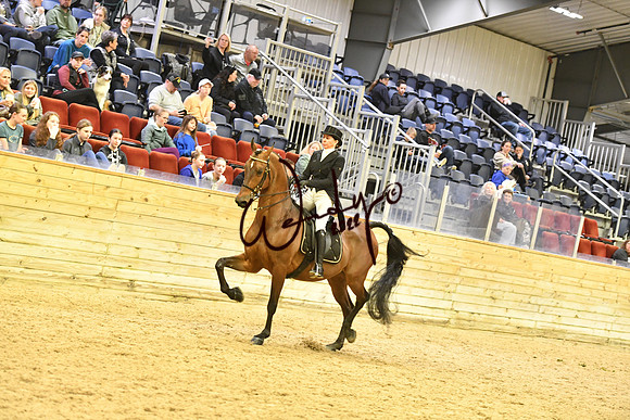 106_8946-Do_not_copy_PROOF