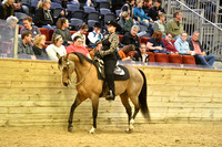 73 Western Seat Equitation JTR 14-18